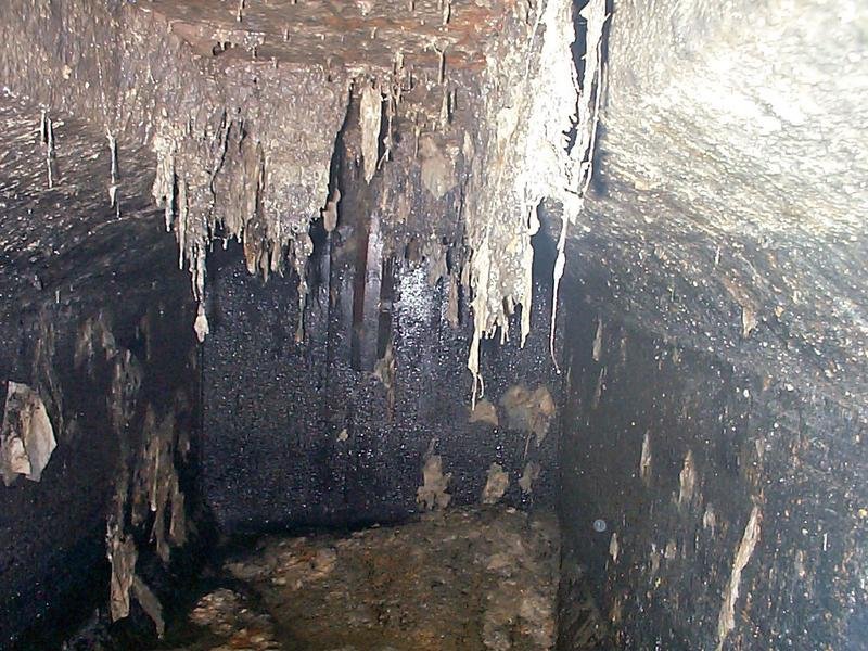 Emergency Septic Service in Wausau